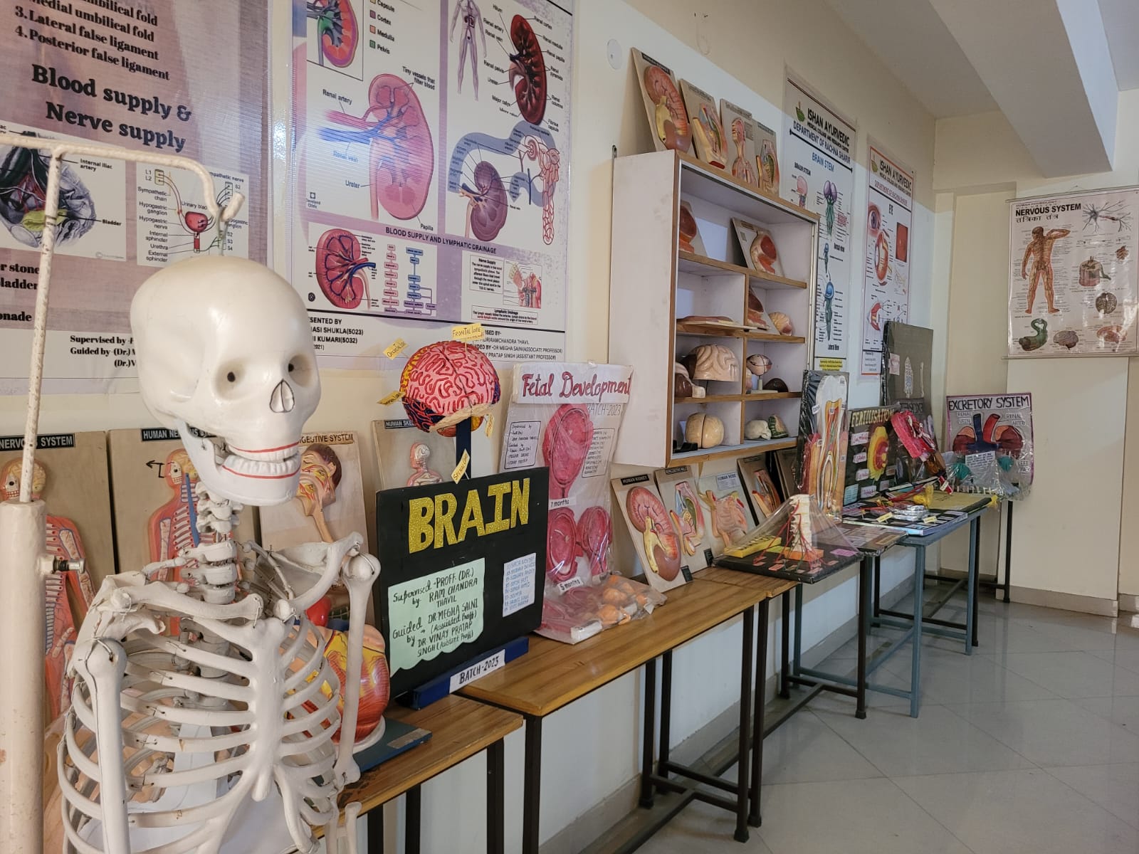 Department of Rachana Sharir